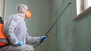 Best Mold Odor Removal Services in Olivia, MN