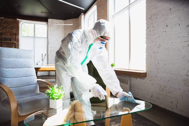 Best Emergency Mold Remediation in Olivia, MN