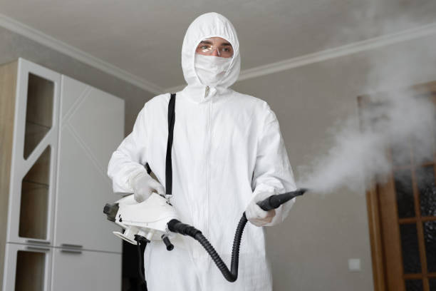 Best Environmental Consulting for Mold Prevention in Olivia, MN